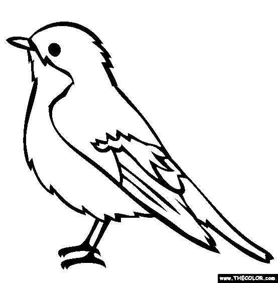 free-printable-coloring-pages-birds-download-free-printable-coloring-pages-birds-png-images